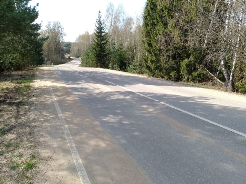 Автодорога (лыжероллеры) Н Горбово — Лызлово, состояние на 22 апреля 2025 по отзыву, фото 1. Это Лызлово, начало. Дорога тупиковая, машин почти нет